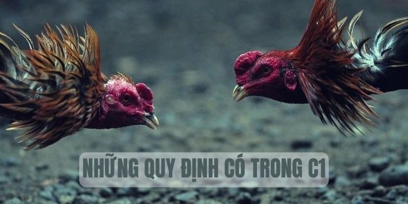 Tổng hợp quy tắc thi đấu tại cúp C1 Tổng hợp quy tắc thi đấu tại cúp C1